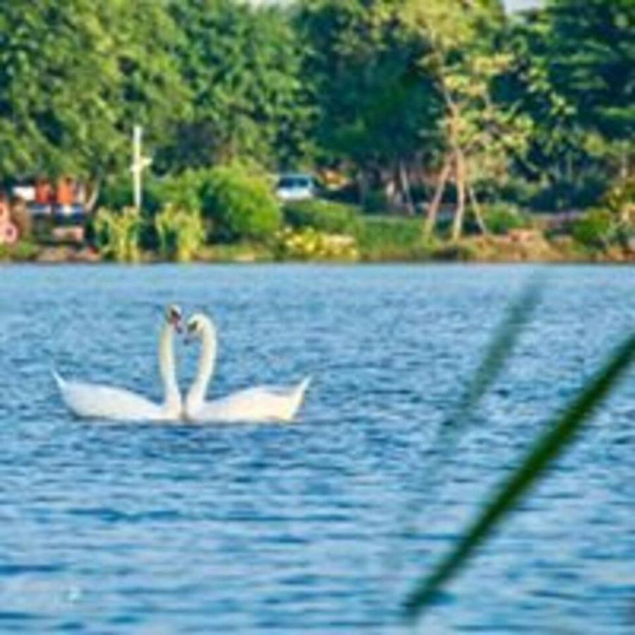 Sue Homestay Ecopark Hung Yen Zewnętrze zdjęcie